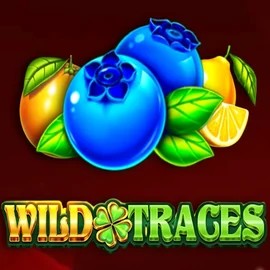 Play the Wild Traces slot by Amusnet Interactive on Cazeus Casino